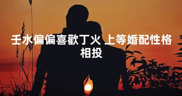 壬水偏偏喜歡丁火 上等婚配性格相投